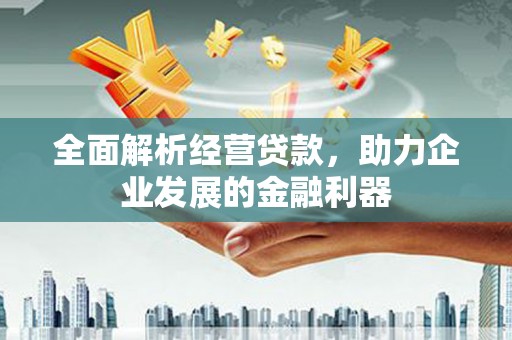 嫩江全面解析经营贷款，助力企业发展的金融利器