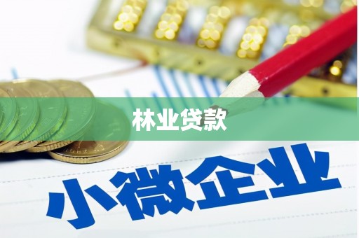 嫩江林业贷款