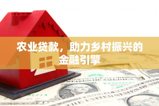嫩江农业贷款，助力乡村振兴的金融引擎