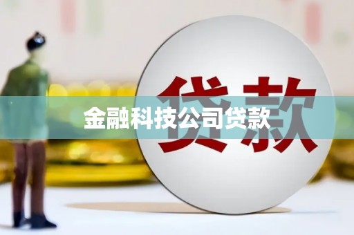 嫩江金融科技公司贷款