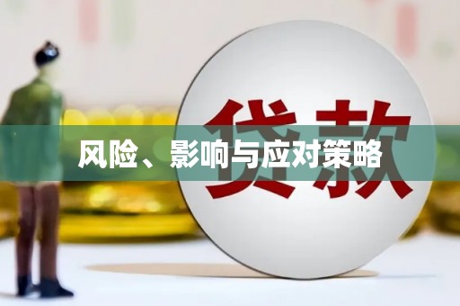 嫩江风险、影响与应对策略