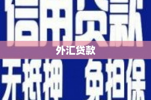 嫩江外汇贷款