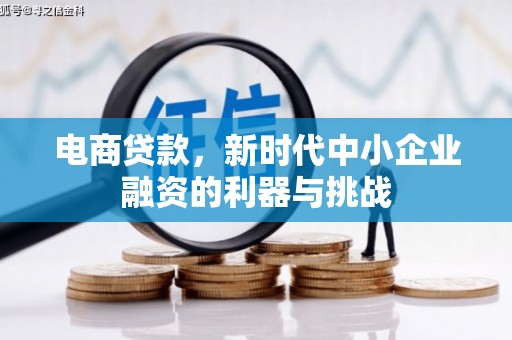 嫩江电商贷款，新时代中小企业融资的利器与挑战