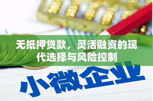 嫩江无抵押贷款，灵活融资的现代选择与风险控制