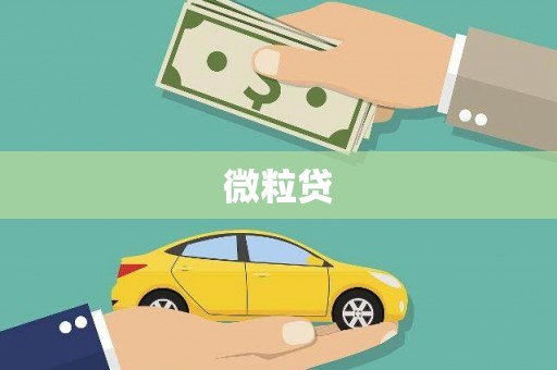 嫩江微粒贷
