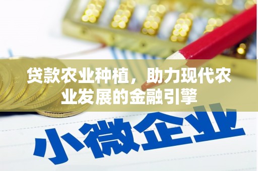嫩江贷款农业种植，助力现代农业发展的金融引擎
