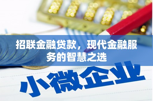 嫩江招联金融贷款，现代金融服务的智慧之选