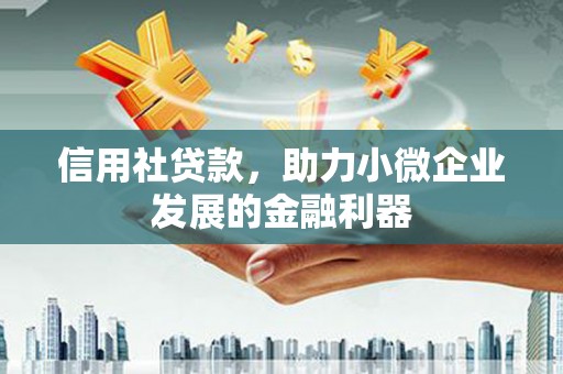 嫩江信用社贷款，助力小微企业发展的金融利器