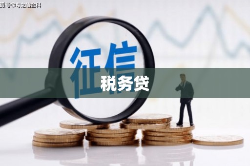 嫩江税务贷