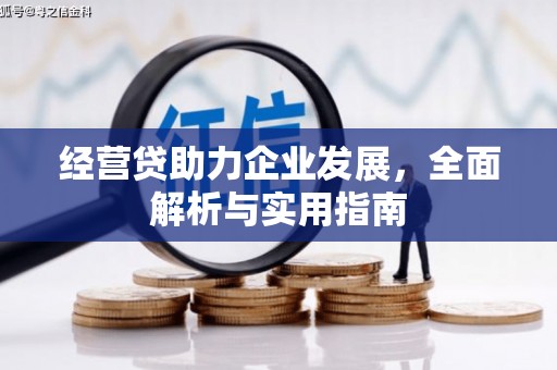 嫩江经营贷助力企业发展，全面解析与实用指南