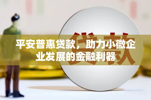 嫩江平安普惠贷款，助力小微企业发展的金融利器
