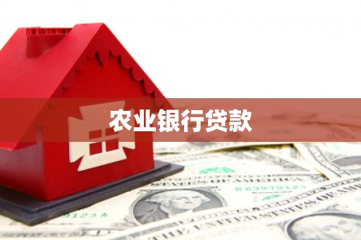 嫩江农业银行贷款
