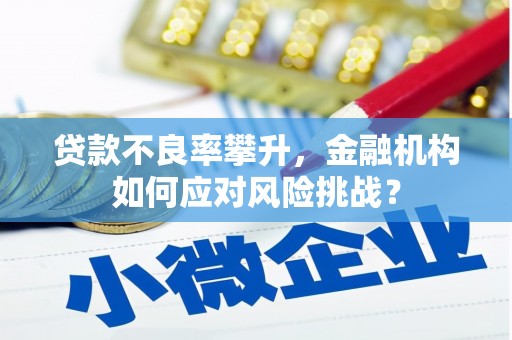 嫩江贷款不良率攀升，金融机构如何应对风险挑战？