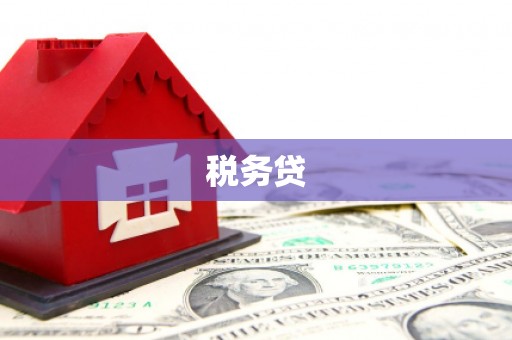 嫩江税务贷
