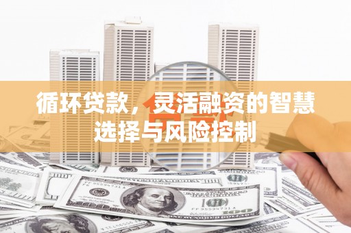 嫩江循环贷款，灵活融资的智慧选择与风险控制