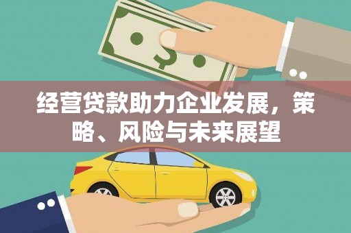 嫩江经营贷款助力企业发展，策略、风险与未来展望