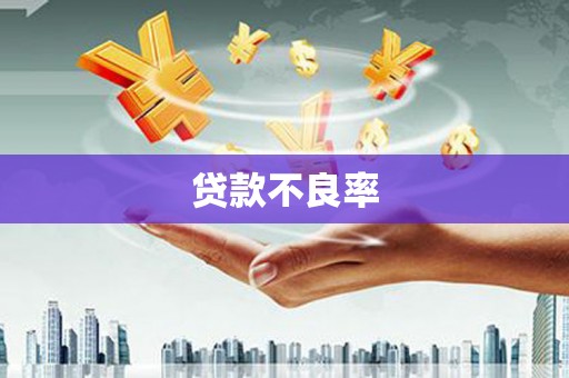 嫩江贷款不良率
