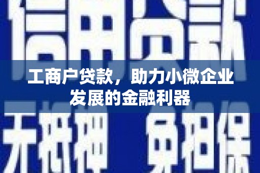 嫩江工商户贷款，助力小微企业发展的金融利器