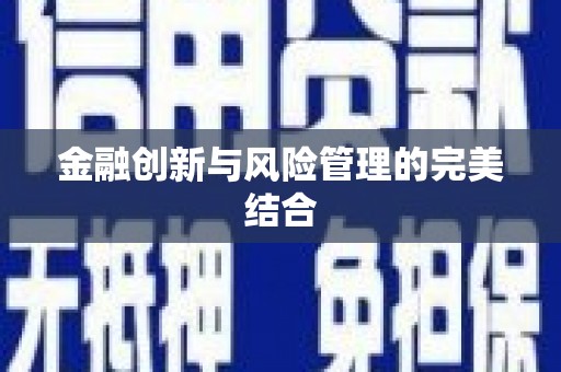 嫩江金融创新与风险管理的完美结合