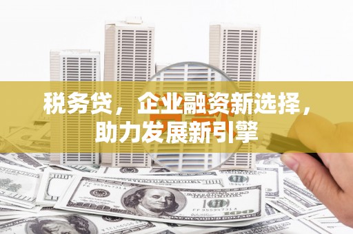 嫩江税务贷，企业融资新选择，助力发展新引擎