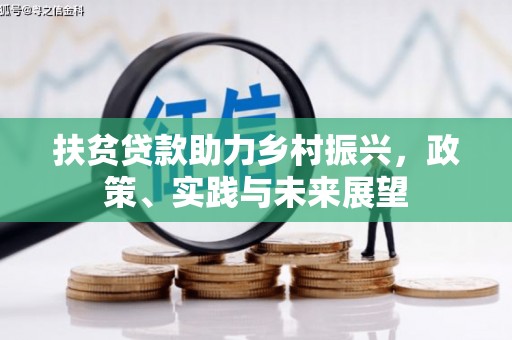 嫩江扶贫贷款助力乡村振兴，政策、实践与未来展望