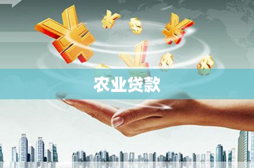 嫩江农业贷款