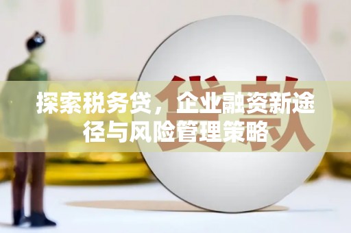 嫩江探索税务贷，企业融资新途径与风险管理策略