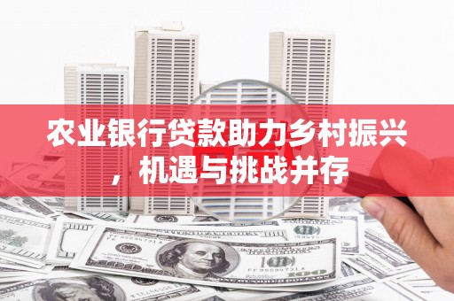 嫩江农业银行贷款助力乡村振兴，机遇与挑战并存