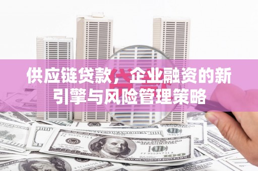 嫩江供应链贷款，企业融资的新引擎与风险管理策略