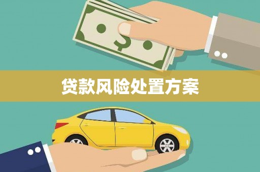 嫩江贷款风险处置方案