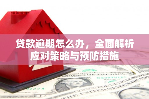 嫩江贷款逾期怎么办，全面解析应对策略与预防措施