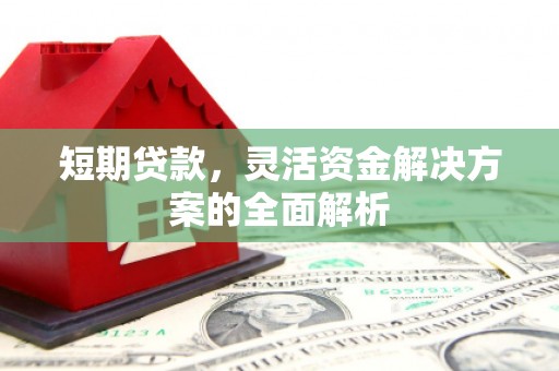 嫩江短期贷款，灵活资金解决方案的全面解析