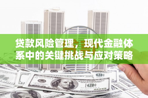 嫩江贷款风险管理，现代金融体系中的关键挑战与应对策略