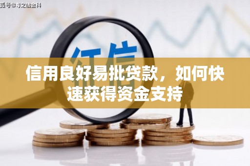 嫩江信用良好易批贷款，如何快速获得资金支持