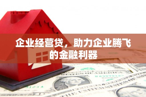 嫩江企业经营贷，助力企业腾飞的金融利器