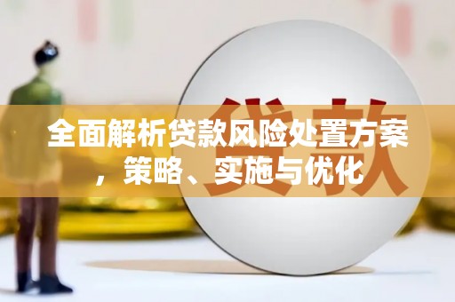 嫩江全面解析贷款风险处置方案，策略、实施与优化