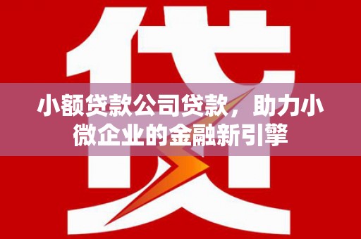 嫩江小额贷款公司贷款，助力小微企业的金融新引擎