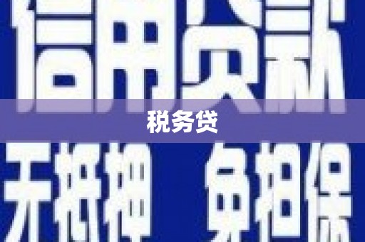 嫩江税务贷