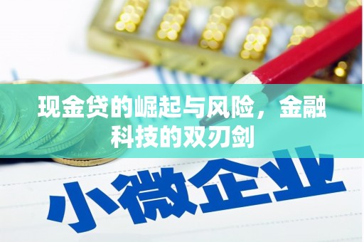 嫩江现金贷的崛起与风险，金融科技的双刃剑