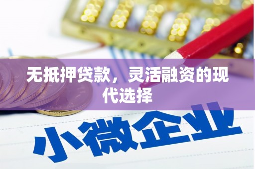 嫩江无抵押贷款，灵活融资的现代选择