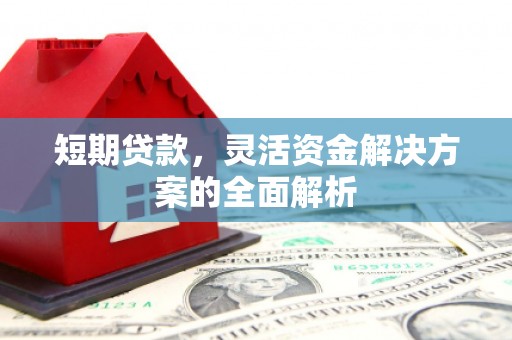 嫩江短期贷款，灵活资金解决方案的全面解析
