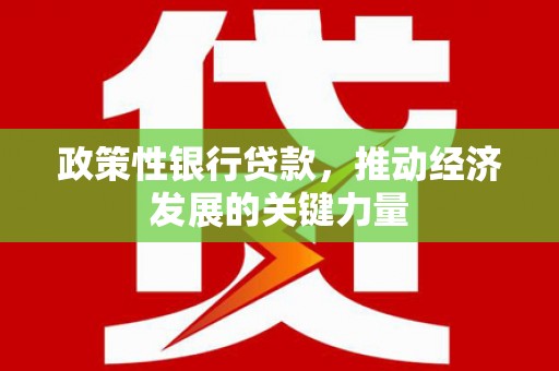 嫩江政策性银行贷款，推动经济发展的关键力量
