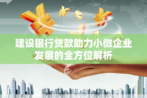 嫩江建设银行贷款助力小微企业发展的全方位解析