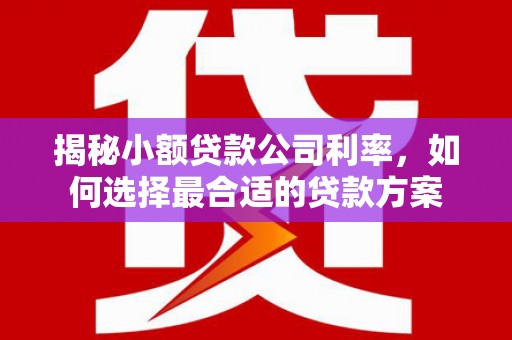 嫩江揭秘小额贷款公司利率，如何选择最合适的贷款方案