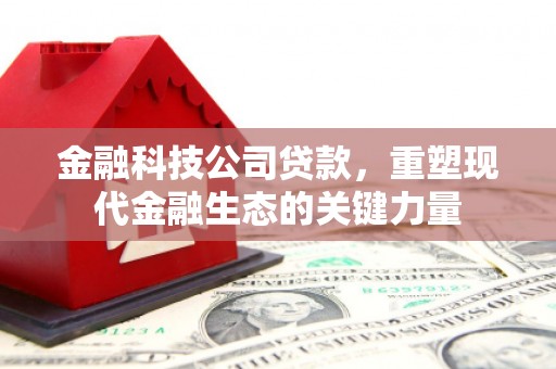 嫩江金融科技公司贷款，重塑现代金融生态的关键力量