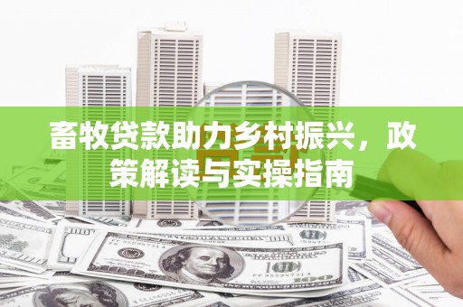 嫩江畜牧贷款助力乡村振兴，政策解读与实操指南