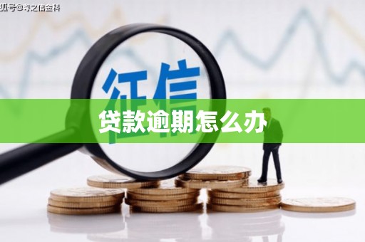 嫩江贷款逾期怎么办