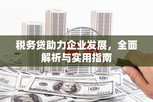嫩江税务贷助力企业发展，全面解析与实用指南