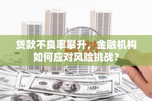嫩江贷款不良率攀升，金融机构如何应对风险挑战？