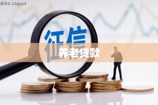 嫩江养老贷款